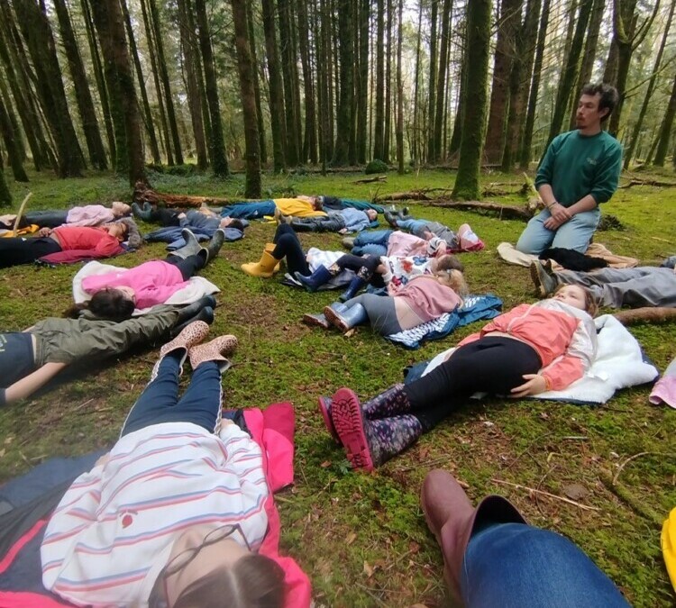 Une journée au cœur de la forêt de Beffou !